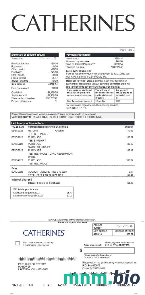 Szablon zestawienia zarobków CATHERINES w formatach Word i PDF